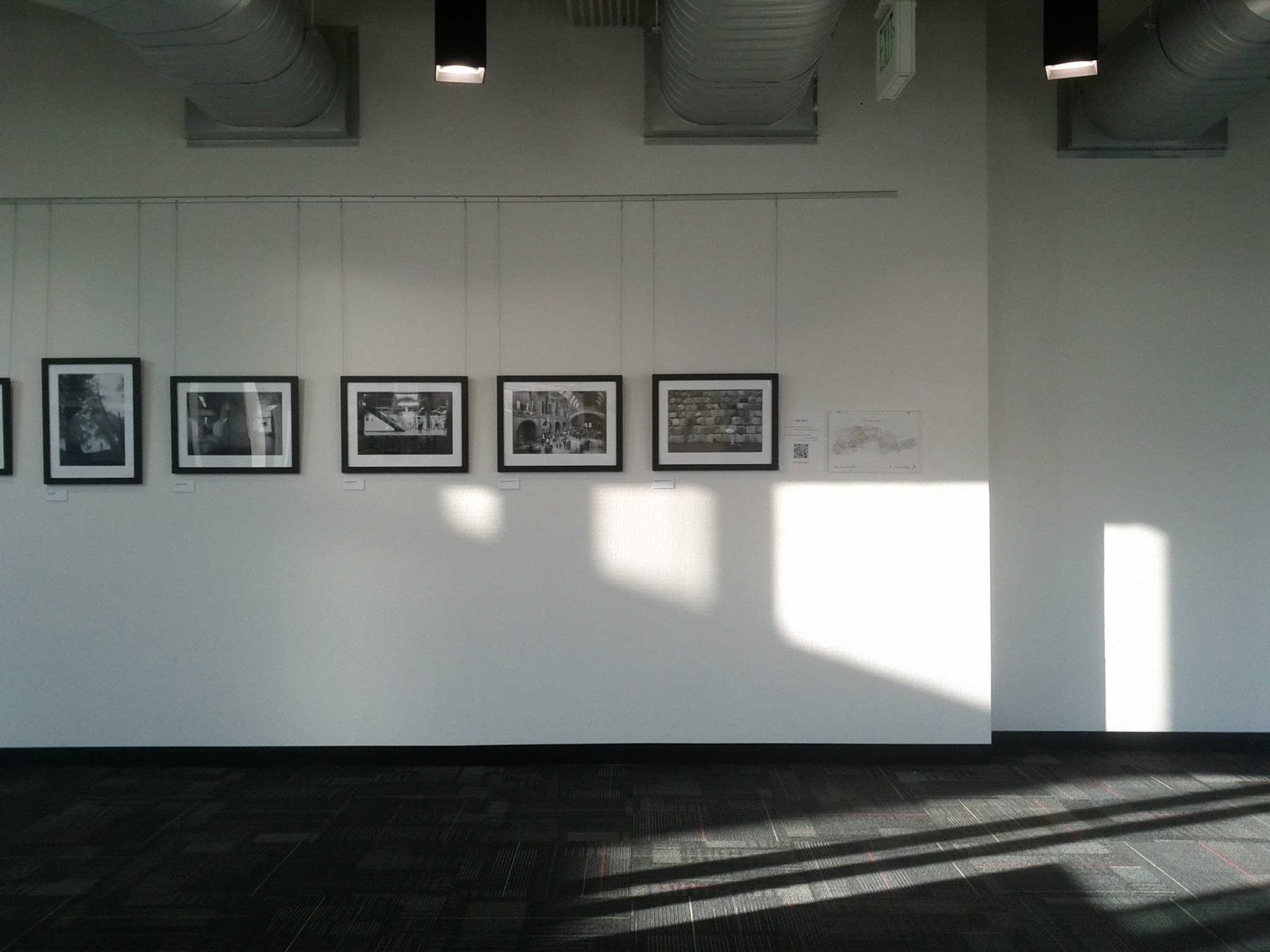 Google lobby exhibition — framed photography show